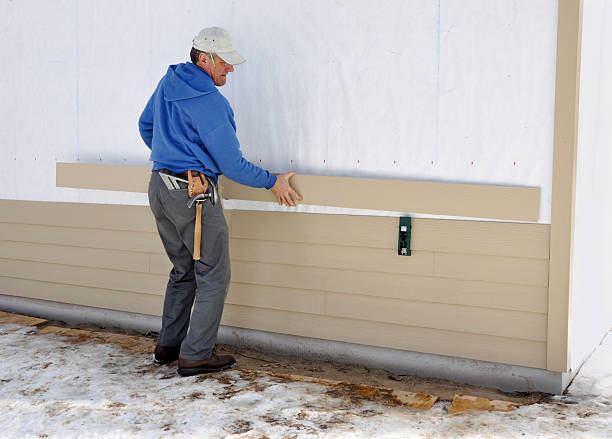 Best Siding Painting and Refinishing  in Belle, MO