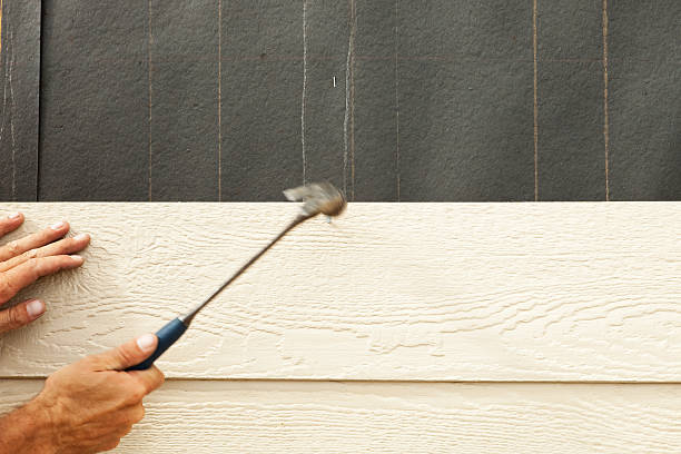 Best Wood Siding Installation  in Belle, MO